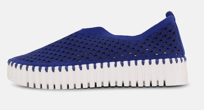 Blue Web Platform Tulip Slip On Sneaker
