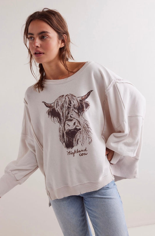 We the Free Graphic Camden Pullover