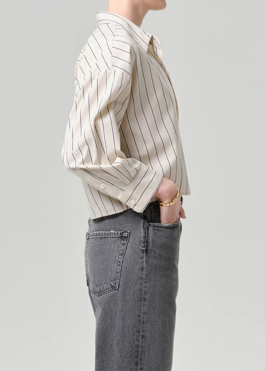 Petit Ami Ramble Stripe by Citizen of Humanity