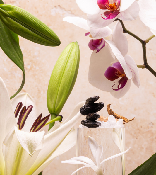 Sea Salt & Orchid