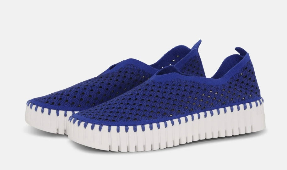 Blue Web Platform Tulip Slip On Sneaker