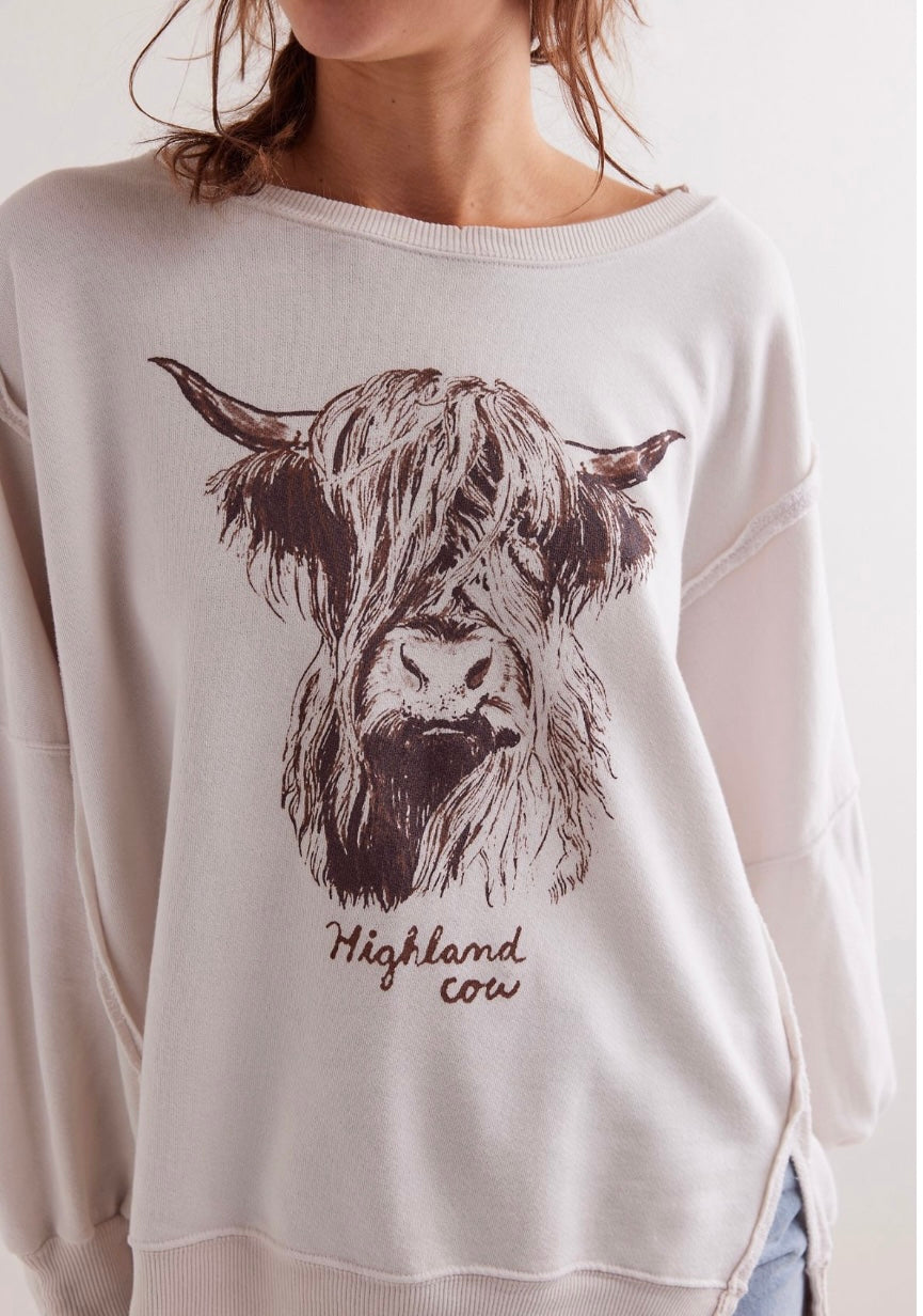 We the Free Graphic Camden Pullover