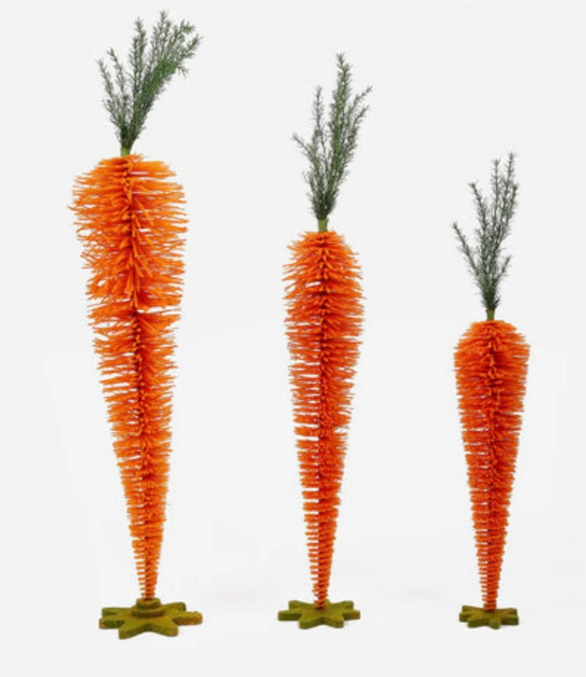 Standing Carrot Display